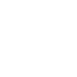 TikTok Icon